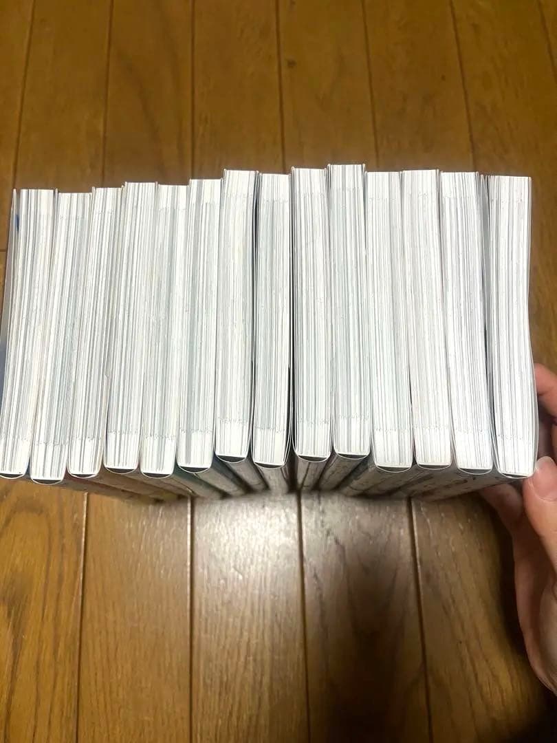 氷の城壁　全巻セット