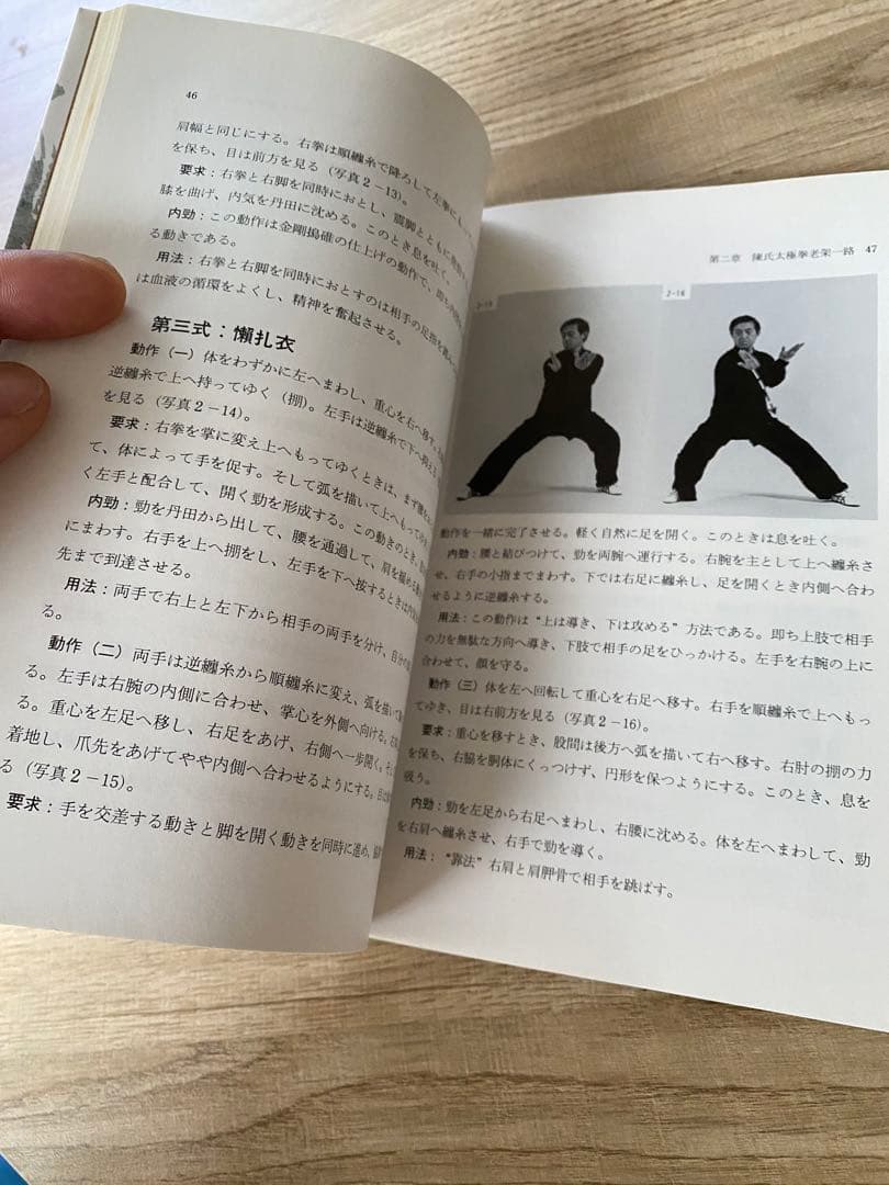 陳氏太極拳テキスト