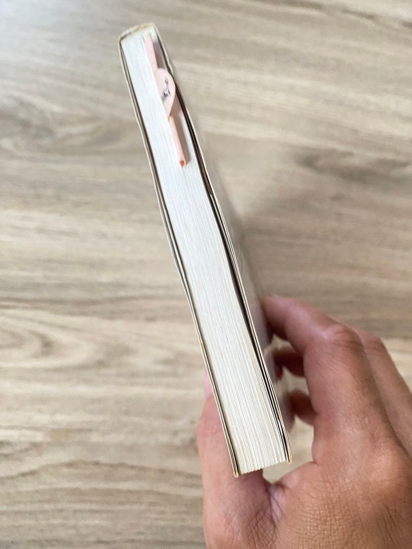 陳氏太極拳テキスト