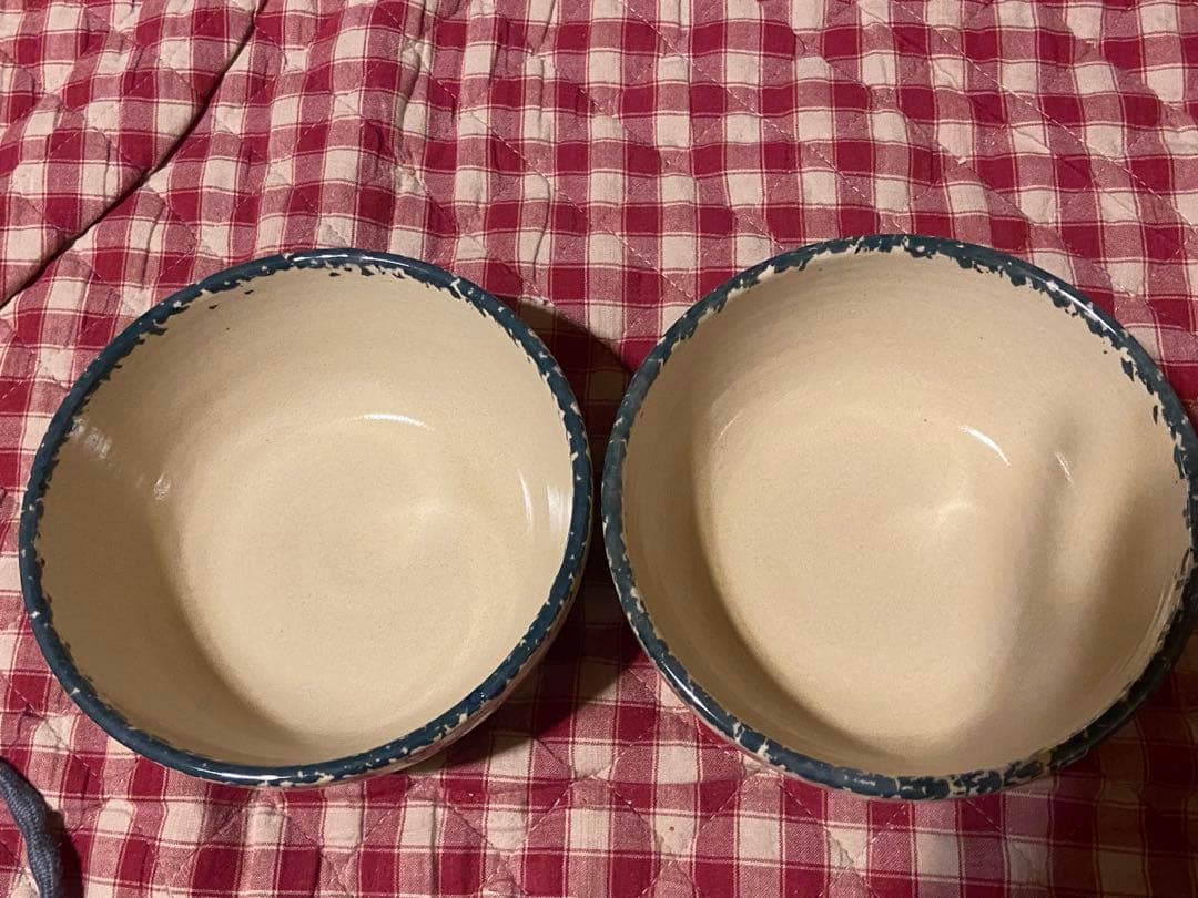 アントステラ アップルサラダボウル （L）2個セット