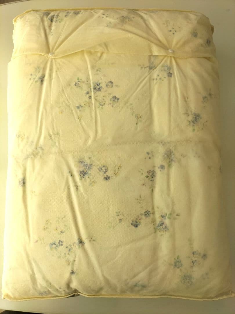 新品未使用 西川 羽毛肌掛け布団 ダブル