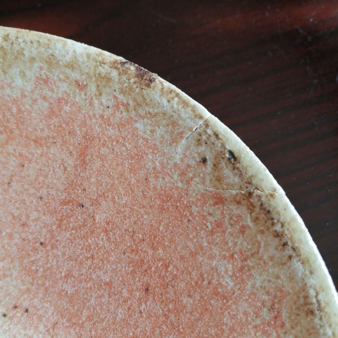 信楽焼　杉本貞光　寺垣外窯　信楽薄手皿　17cm　【1枚割れアリ】