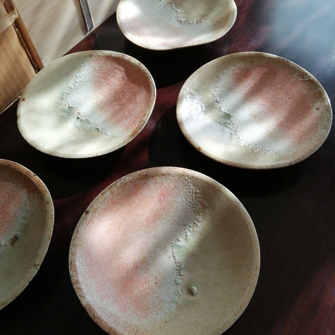 信楽焼　杉本貞光　寺垣外窯　信楽薄手皿　17cm　【1枚割れアリ】