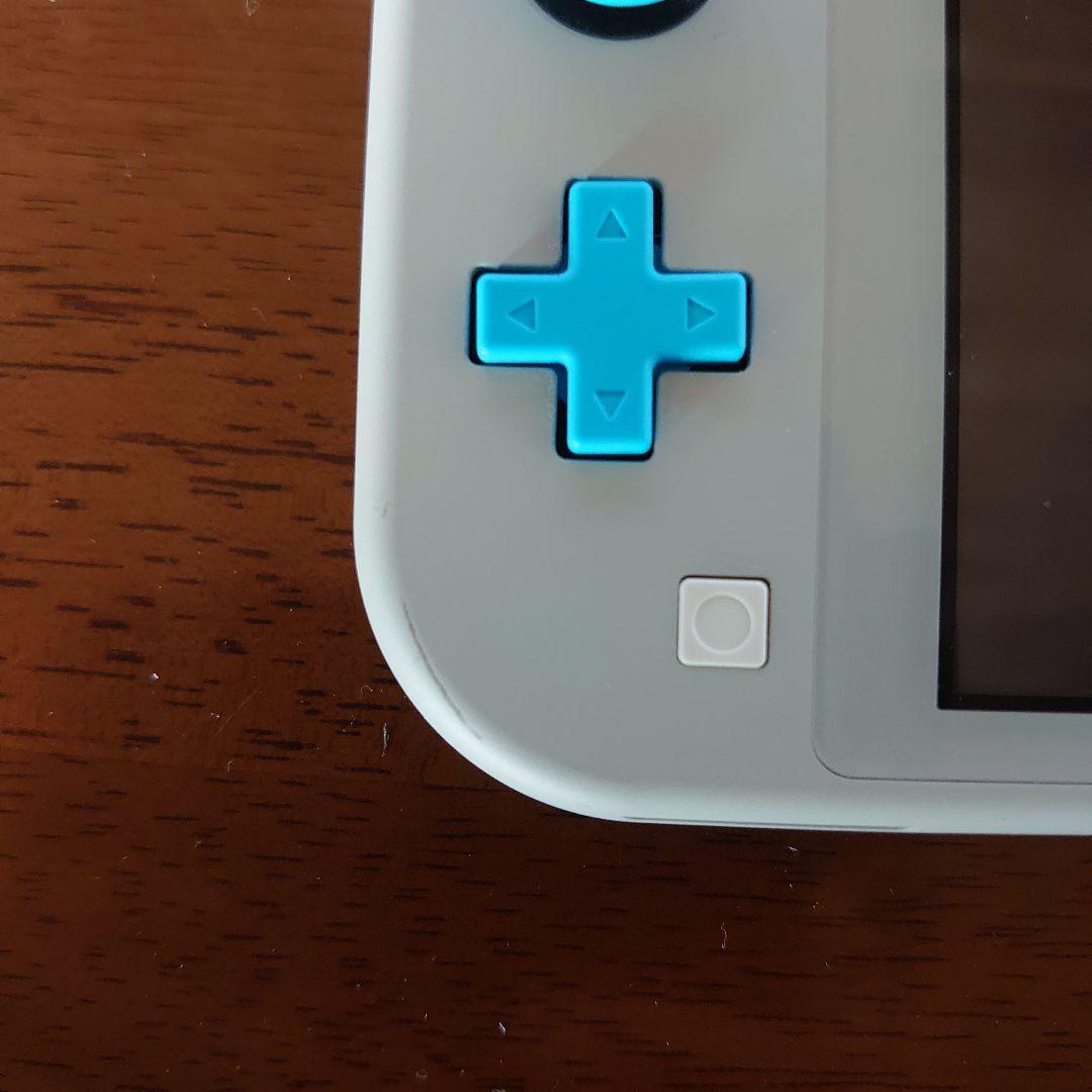 Nintendo Switch Lite ザシアン　ザマゼンタ おまけ付き