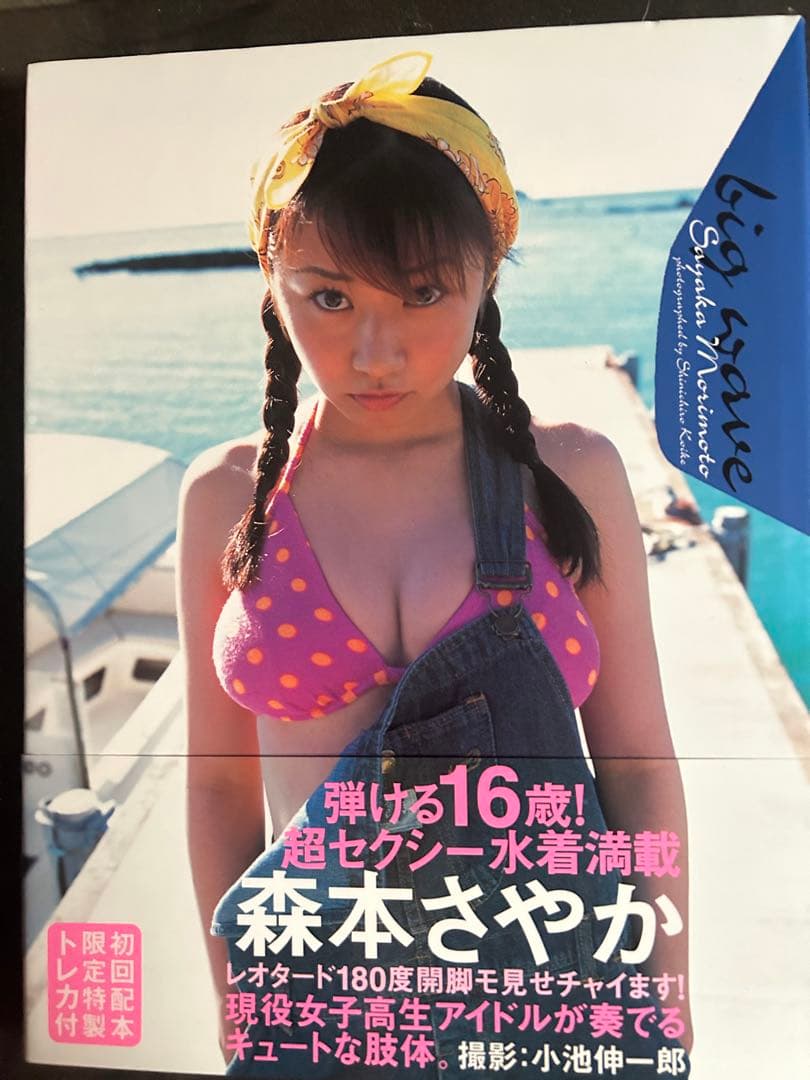 森本さやか big wave 水着写真集