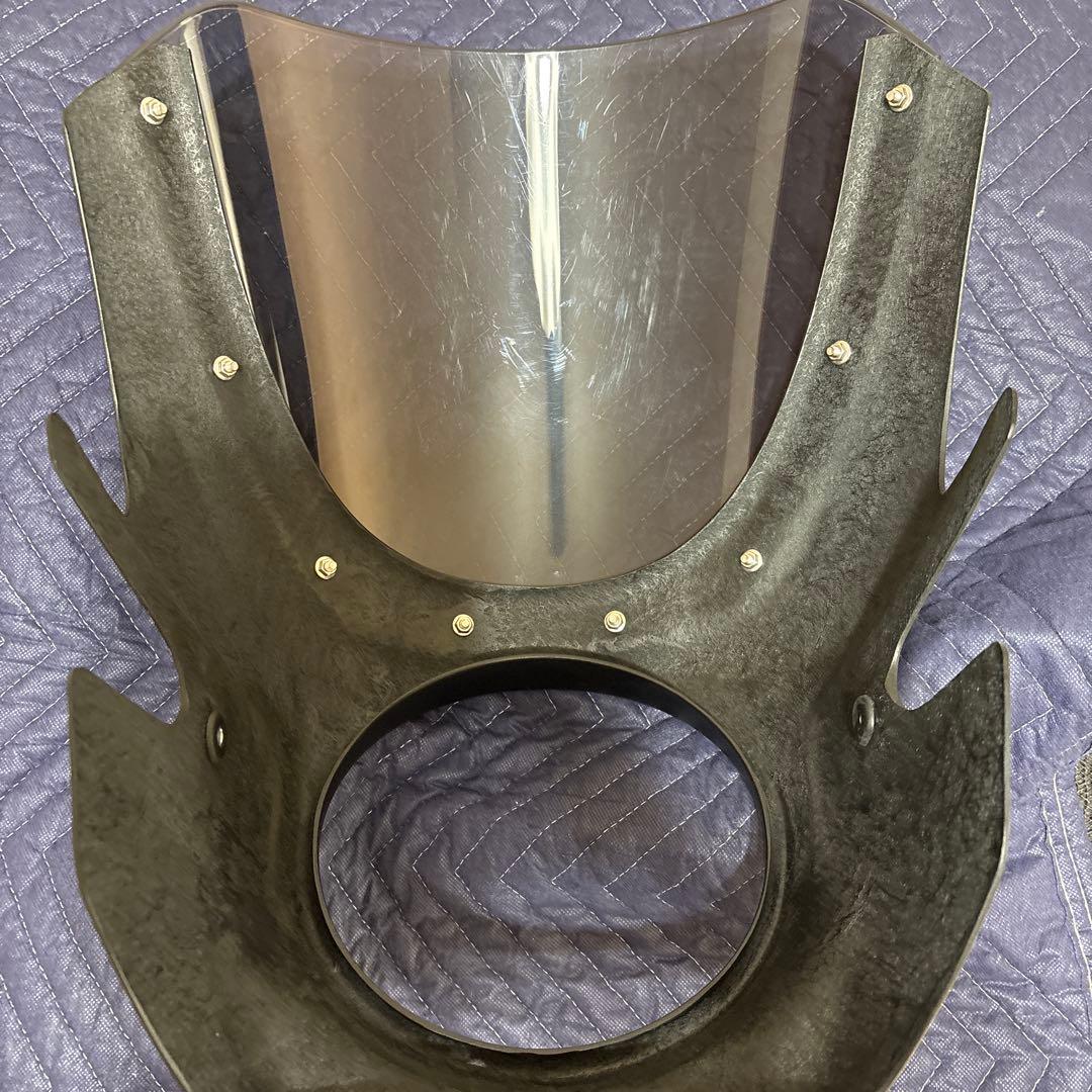 z900rsSE２５カラー