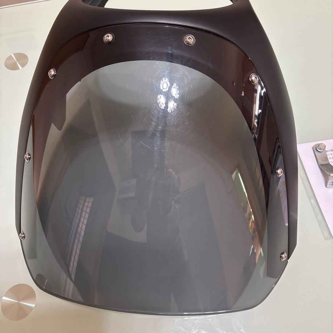 z900rsSE２５カラー