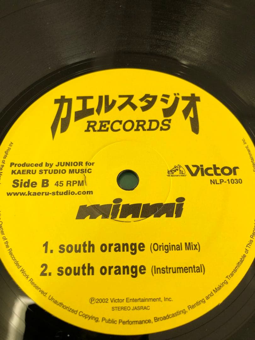 直筆サイン入りminmi / The Perfect Vision