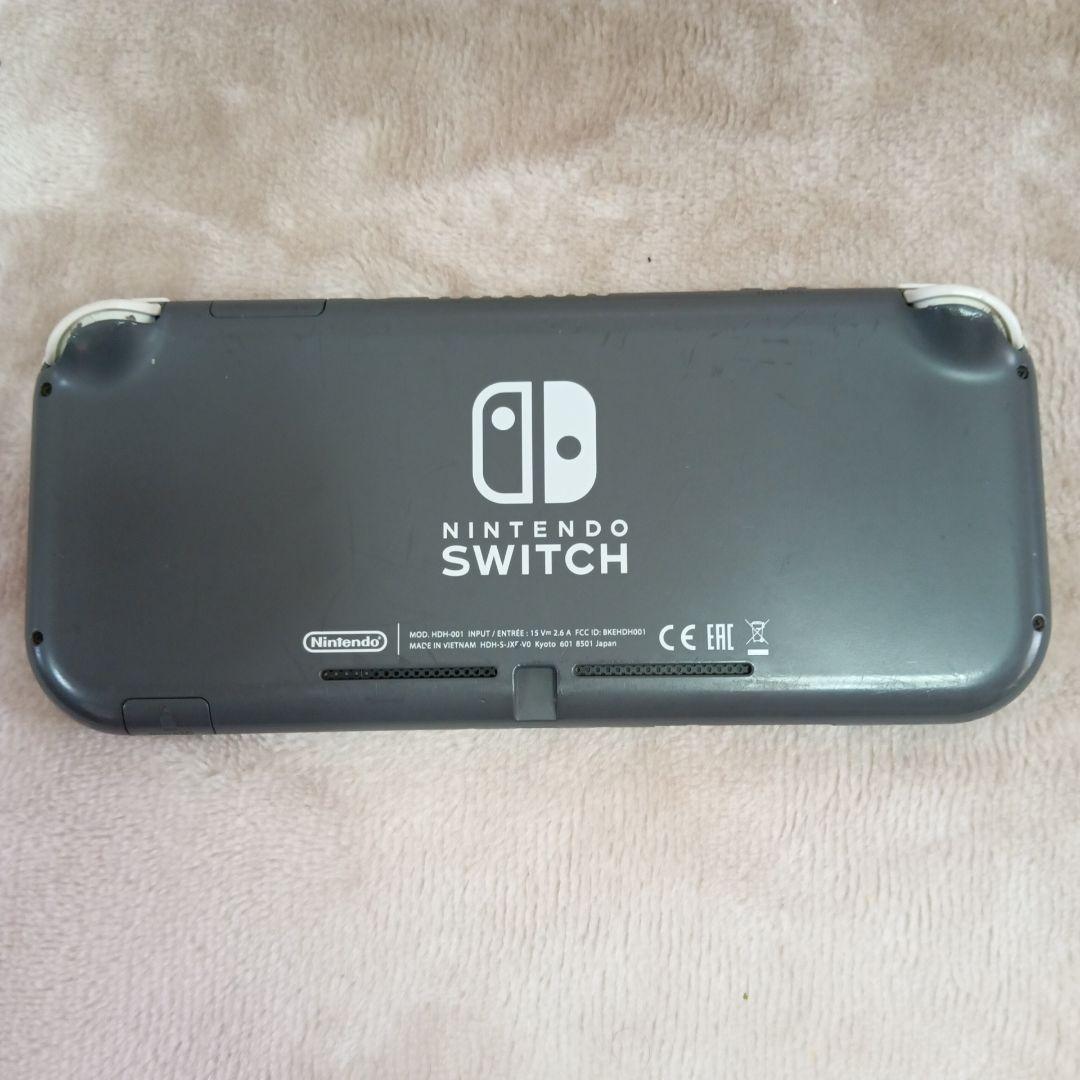 Nintendo Switch Lite グレー （一部不具合）
