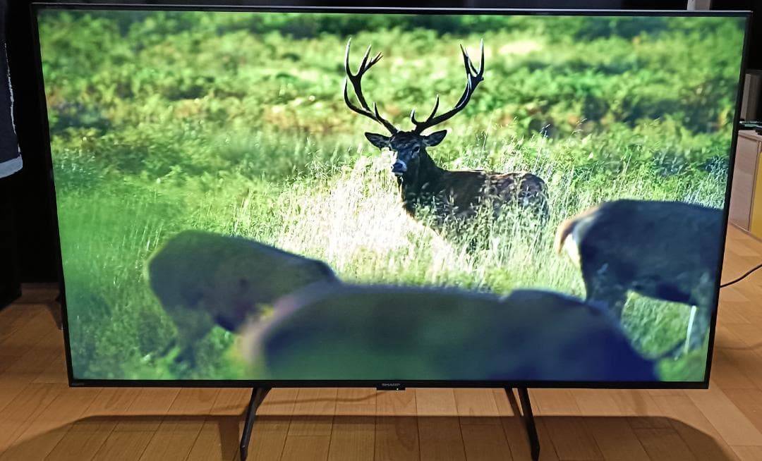 美品 23年製 50V型SHARP AQUOS 4T-C50FL1 4Kテレビ