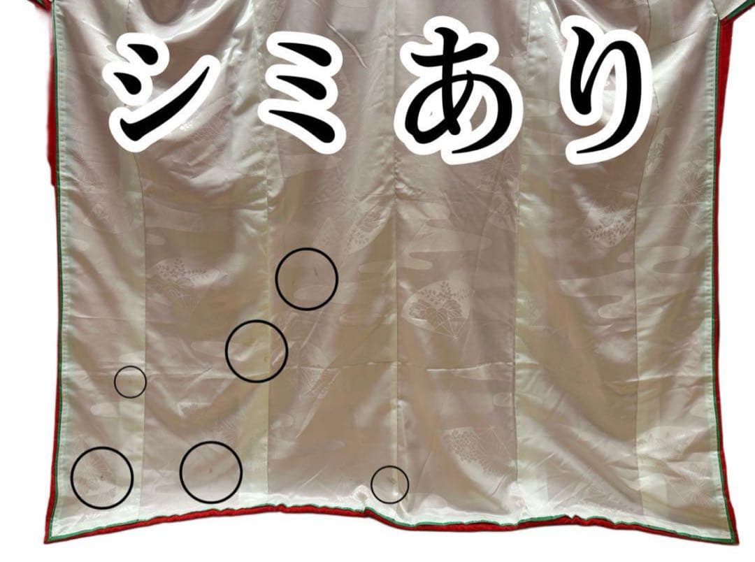 【華やかな色打掛と赤掛下の豪華２点セット】