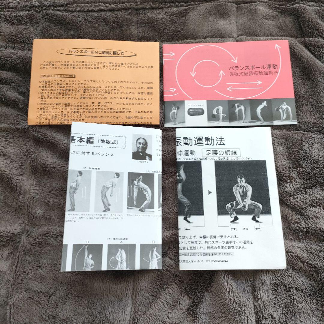 美坂式軽量振動運動法 バランスボール 鉄球 3㎏ ジャパンターナー　取説付き!!