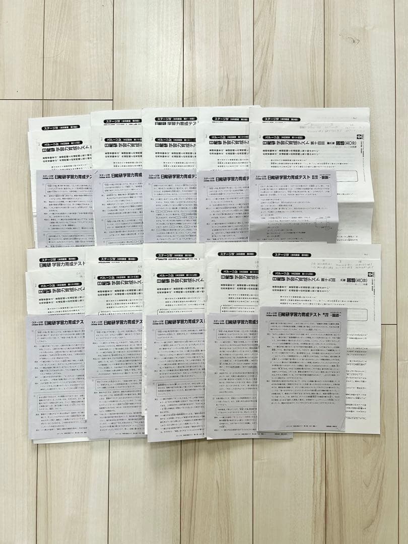 日能研★小6 育成テスト 【2023年度 前期】欠品なし★6年生