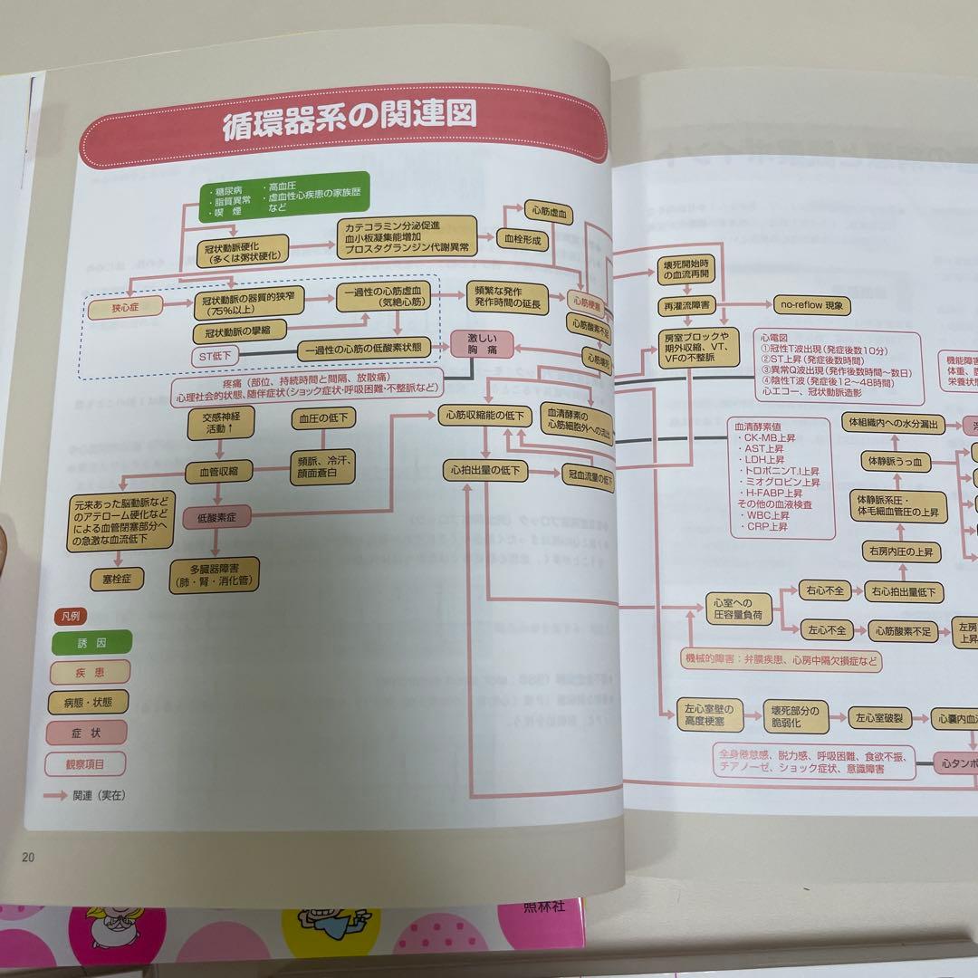 プチナースBOOKS 看護過程の展開に役立つ本シリーズ　まとめ売り