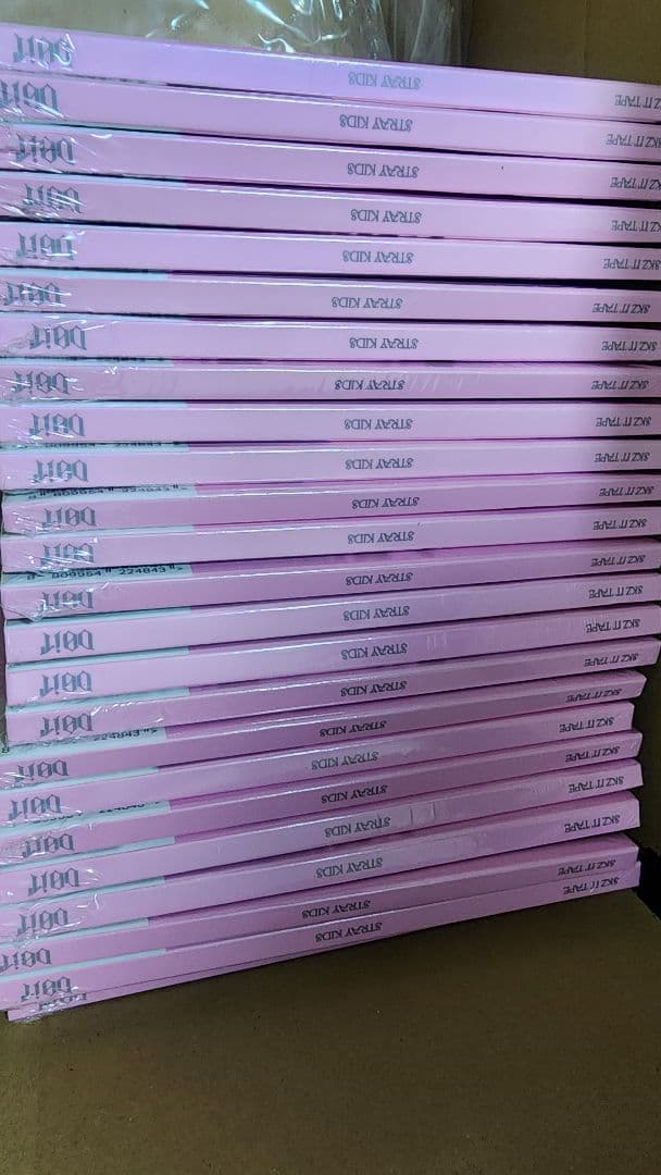 24pcs StrayKids DO IT ACCORDION 新品未開封