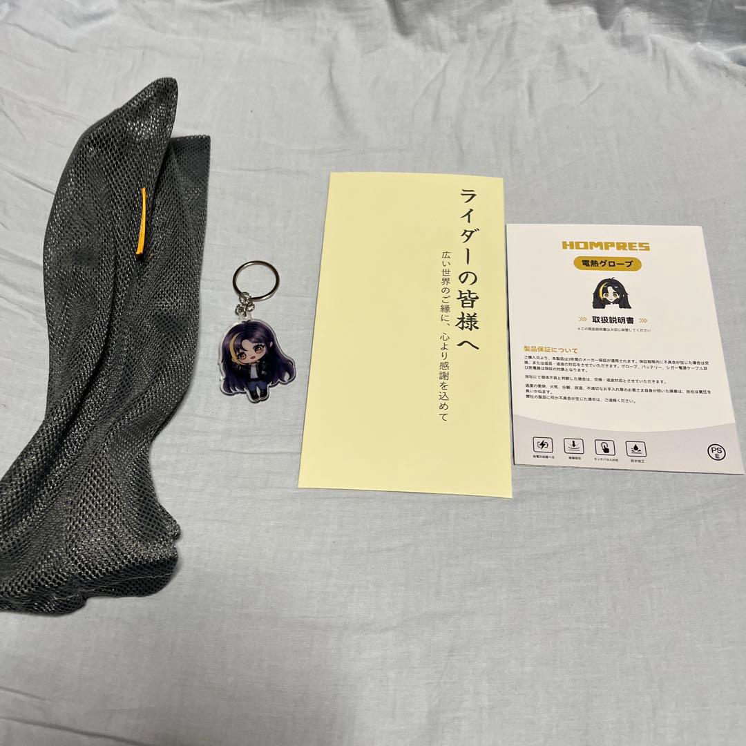 ホンプレス　電熱グローブ　2025 Lサイズ