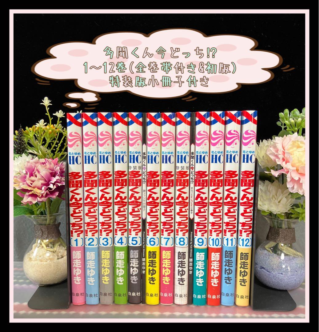☆全巻初版帯付き☆ 多聞くん今どっち⁉︎ 1〜12巻 全巻 特装版 小冊子付き
