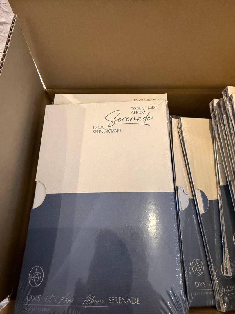 【新品未開封】SEVENTEEN DxS Serenade 50枚セット