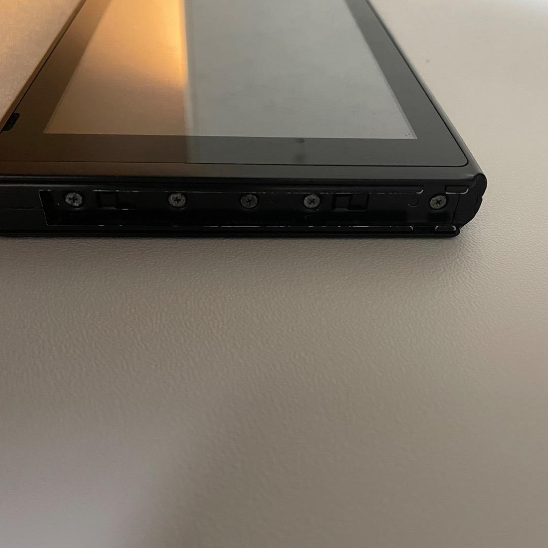 Nintendo Switch 本体とドッグ