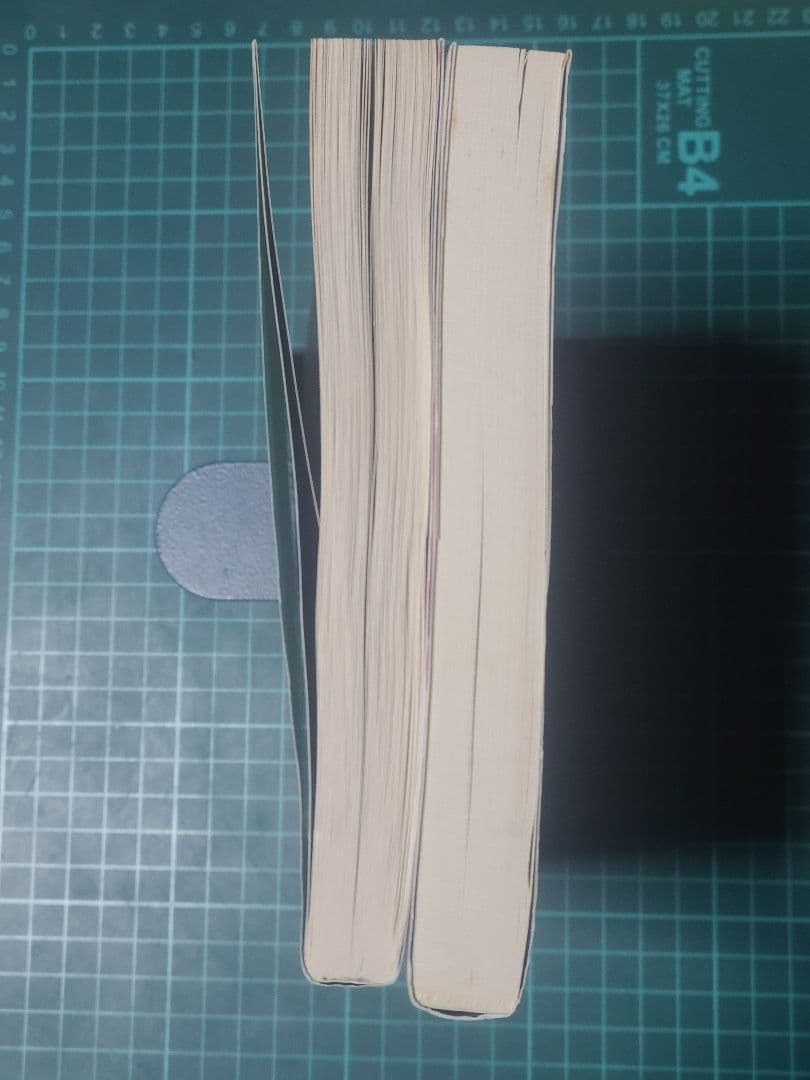 景安聖士 無機化学反応が面白いほど 有機化学反応が面白いほど 2冊セット 絶版