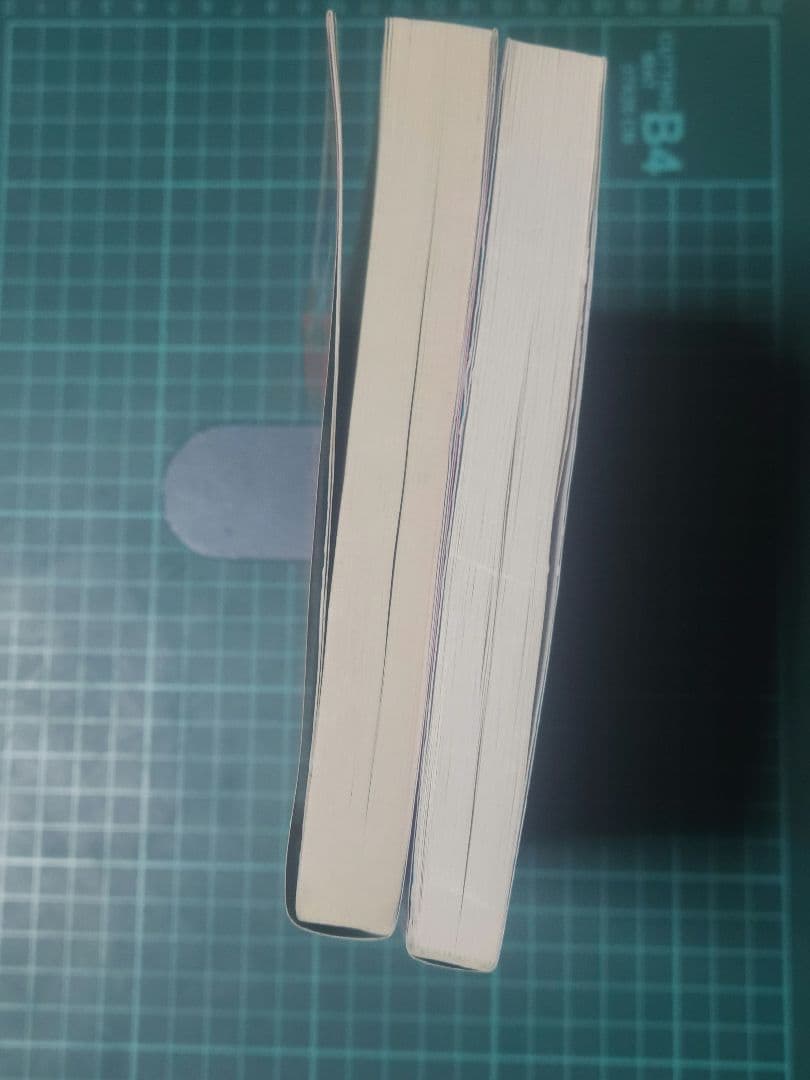 景安聖士 無機化学反応が面白いほど 有機化学反応が面白いほど 2冊セット 絶版