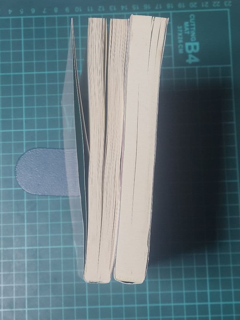 景安聖士 無機化学反応が面白いほど 有機化学反応が面白いほど 2冊セット 絶版