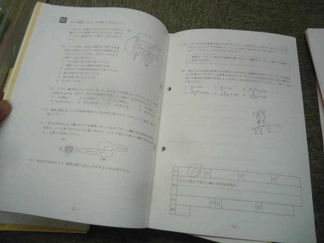 サピックス　理科 知識論理力講座14回/確認テスト13回　2020年度版