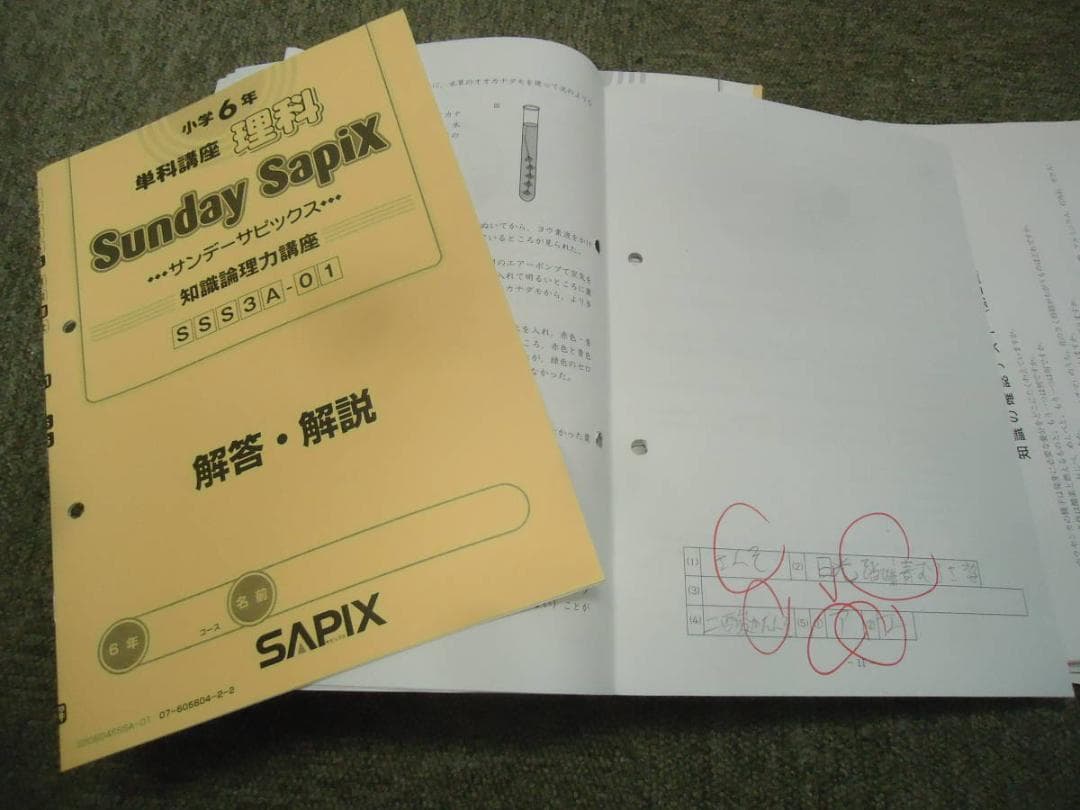 サピックス　理科 知識論理力講座14回/確認テスト13回　2020年度版