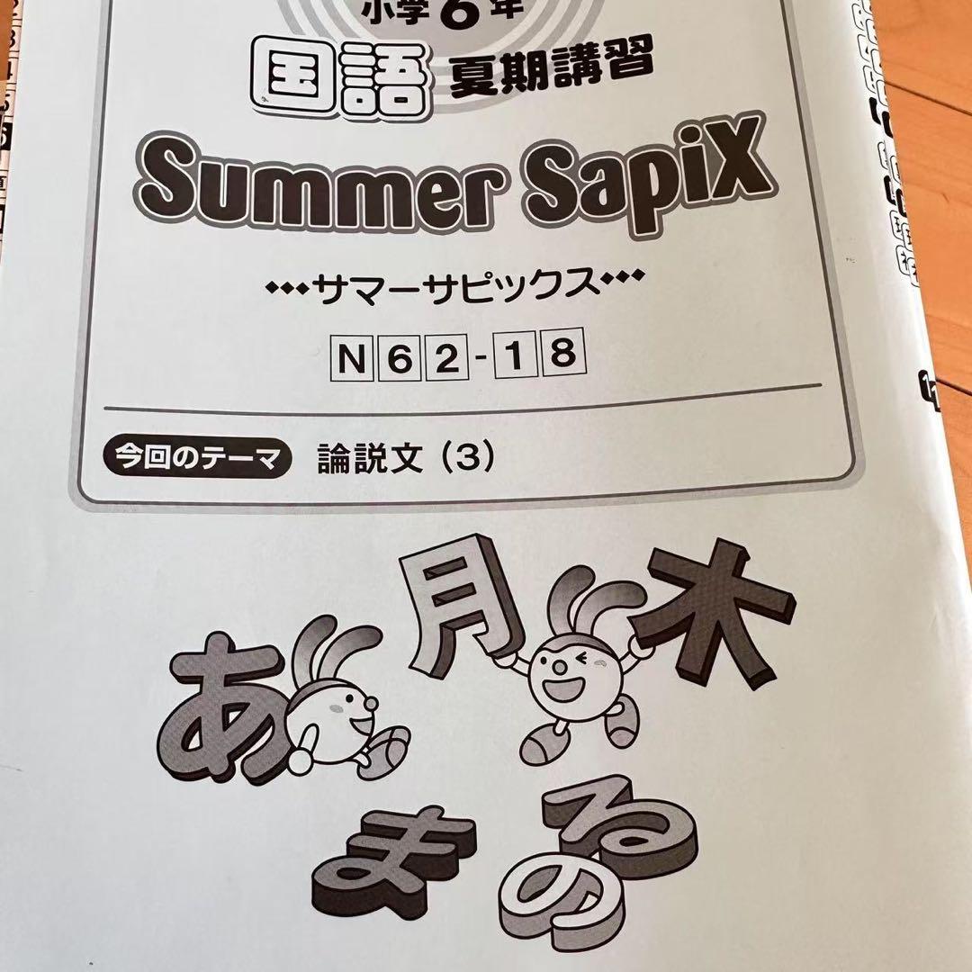 サピックス SAPIX 6年 理科算数　最新　国語社会 テキスト フルセット
