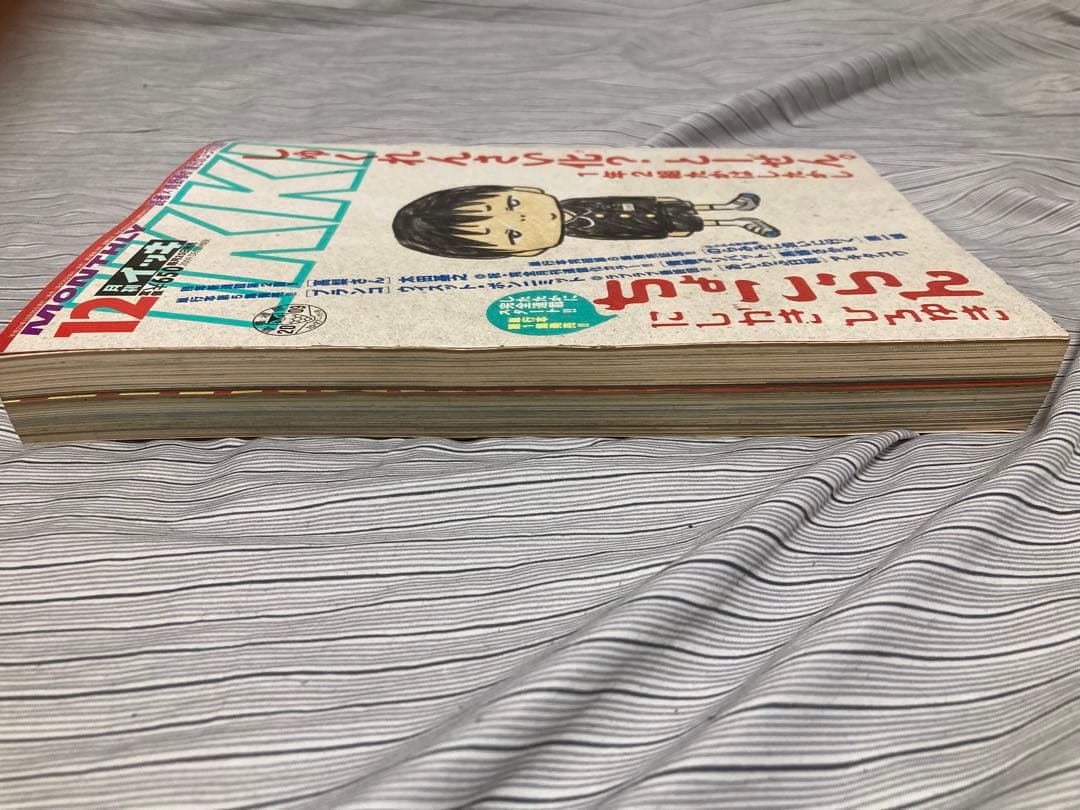 月刊IKKI 2009年12月号 、2014年7月号セット