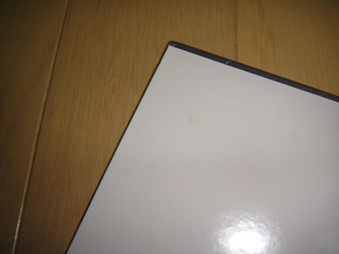 LD◆樋口可南子ショー in PARCO SPACE PART3 からたちの花◆