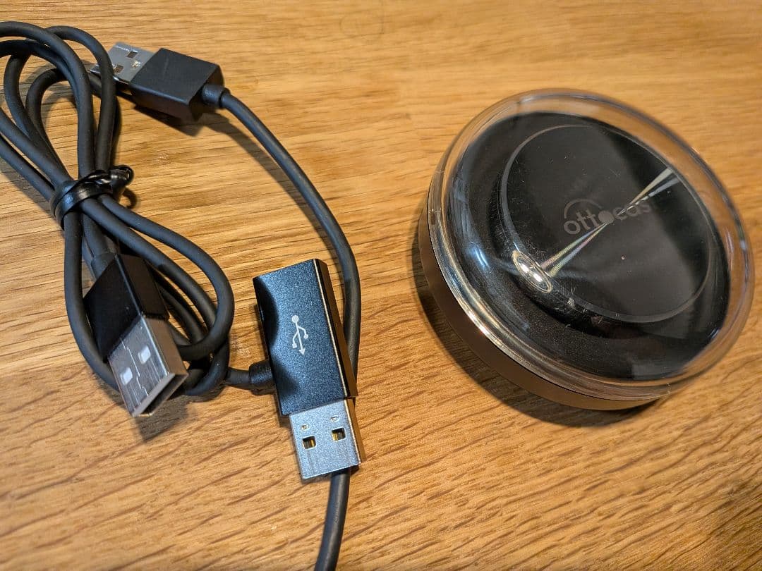 オットキャストピカソウ２