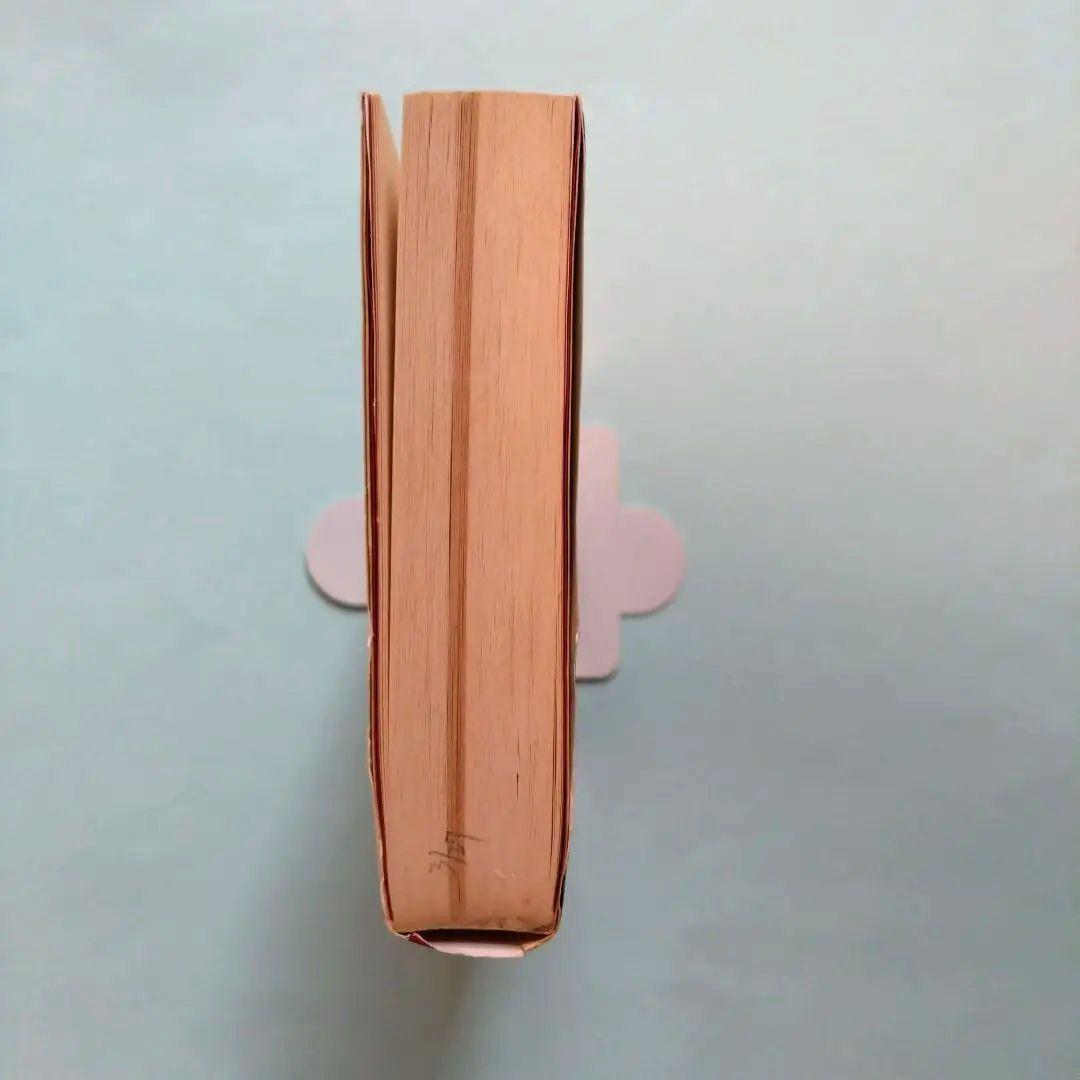 黄金の目 ゴールド・アイ　蹟見冠著