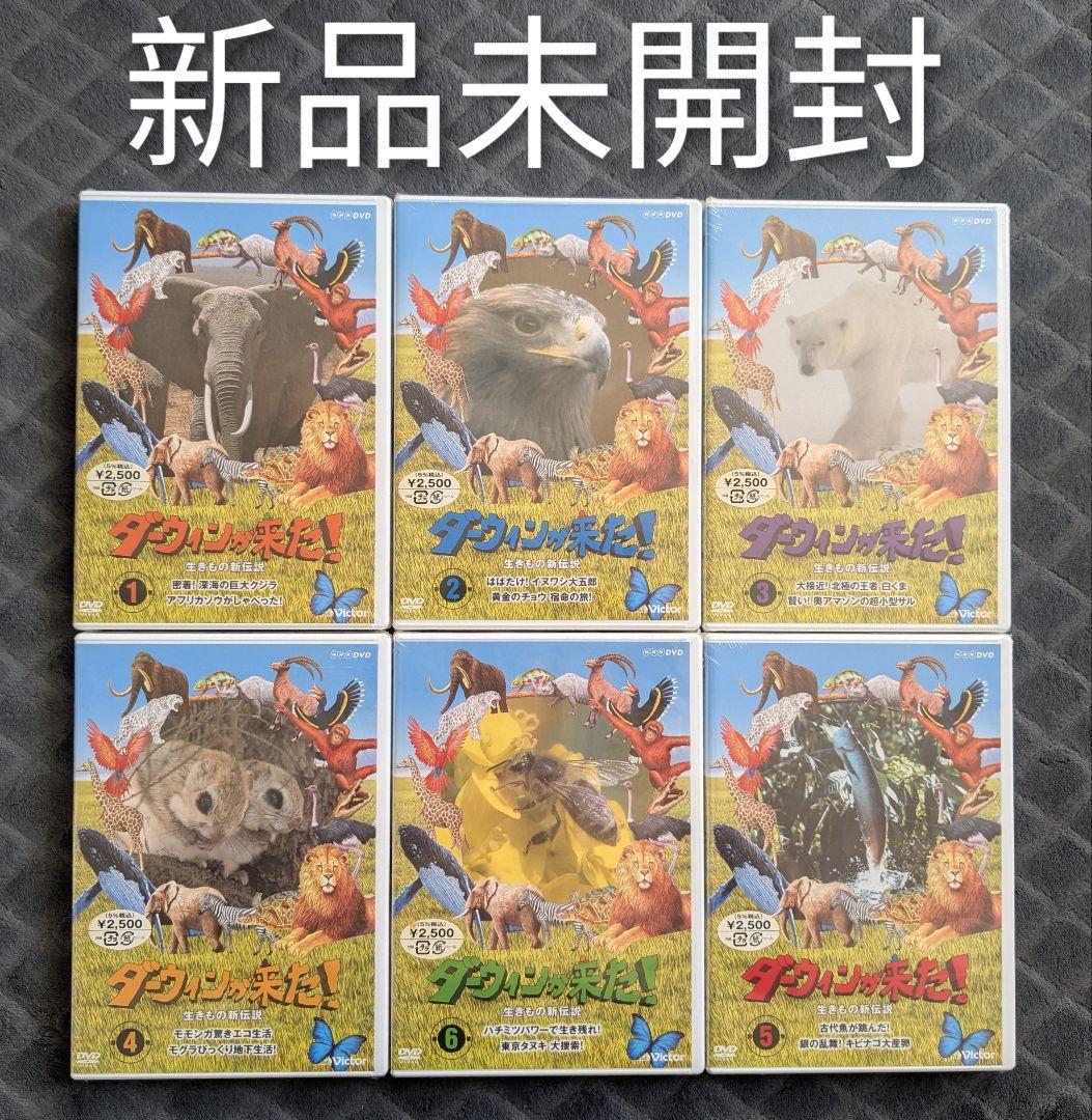 新品未開封 ダーウィンが来た! 生きもの新伝説 DVD 全6巻セット 6本