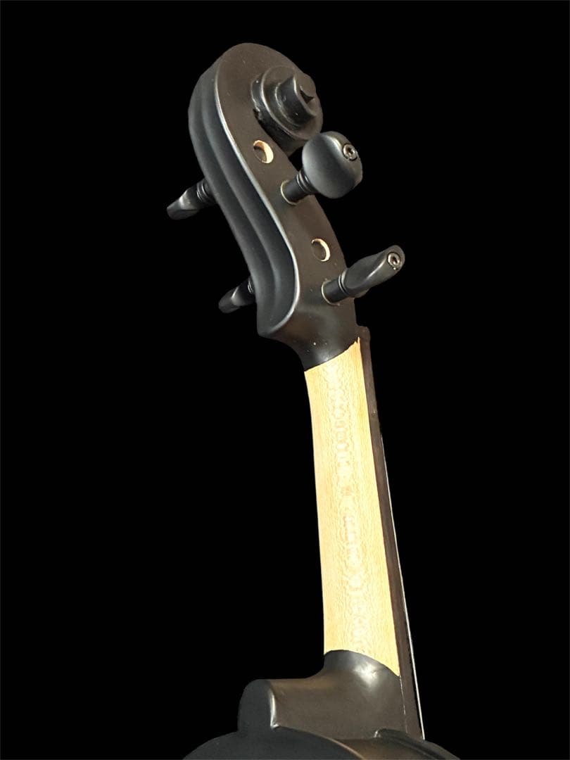 美品 hallstatt ハルシュタット CV-210E エレキバイオリン 黒