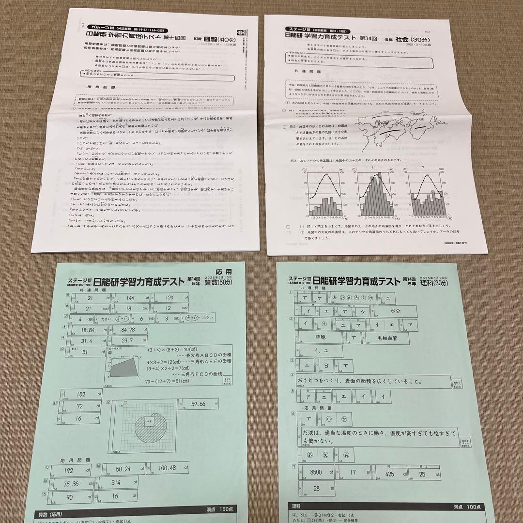 2025年 日能研 5年 ステージⅢ 育成テスト