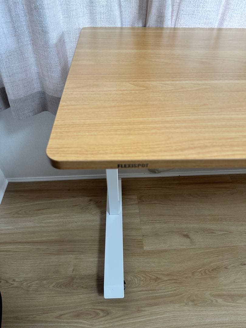 Flexispot E9 昇降式デスク