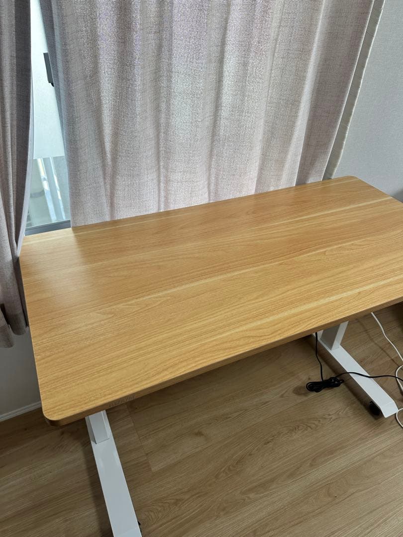 Flexispot E9 昇降式デスク