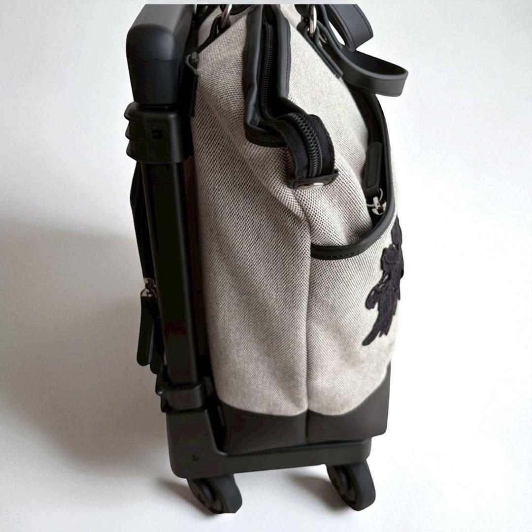 SWANY × 近沢レースの希少コラボ！エレガントな花柄刺繍キャリーバッグ