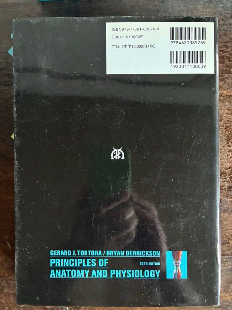 解剖学アトラス　人体の構造　大型本５冊セット