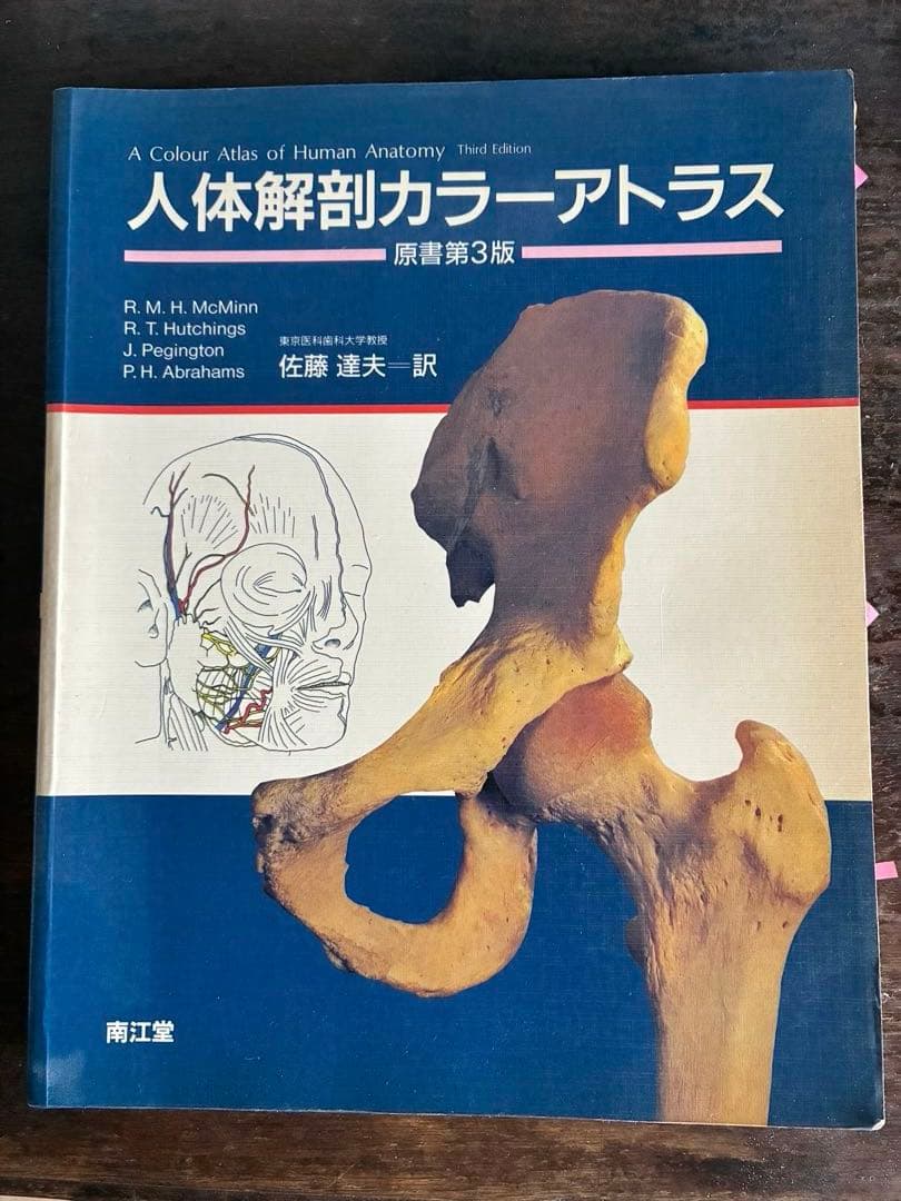 解剖学アトラス　人体の構造　大型本５冊セット