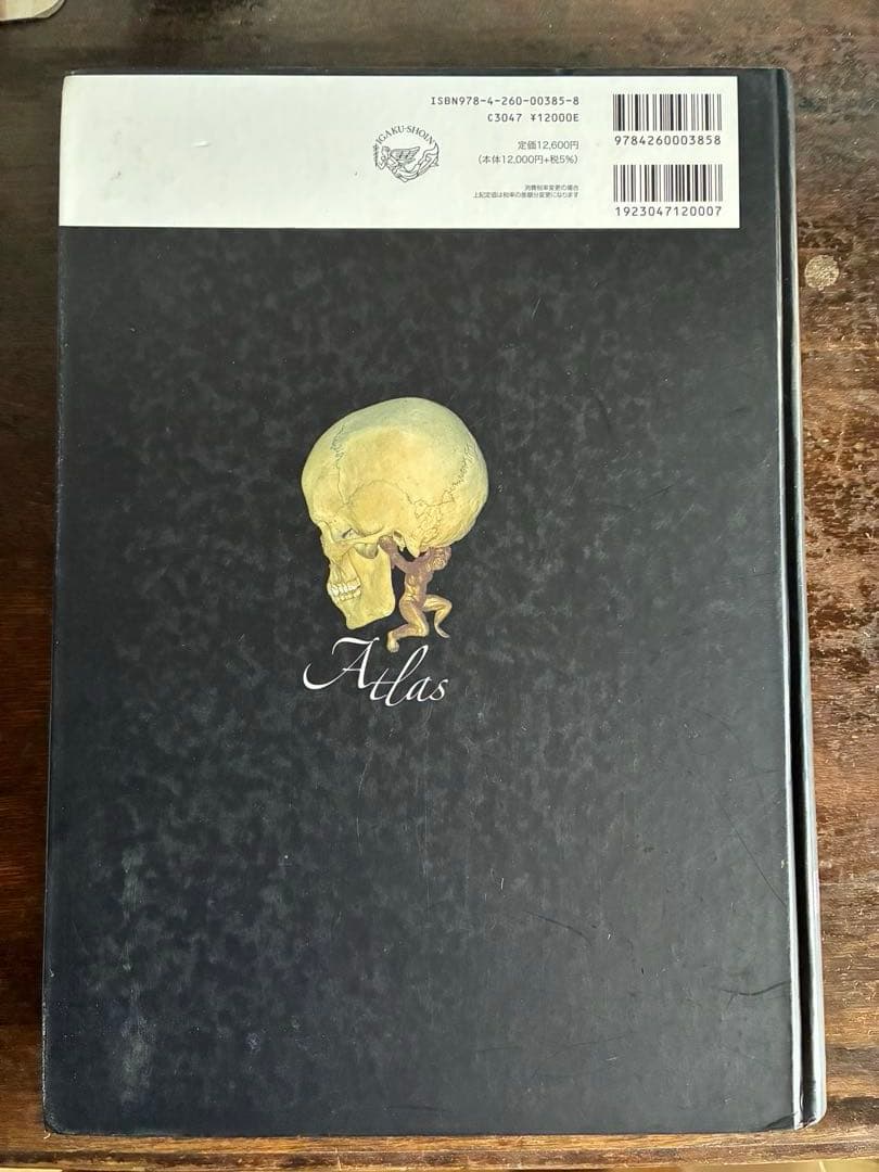 解剖学アトラス　人体の構造　大型本５冊セット