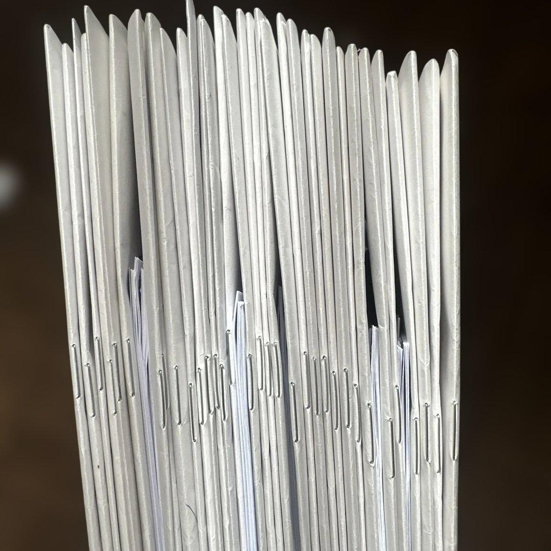 日能研学習力育成テスト6年前期フルセットアンサーガイド付き2025年最新版4教科