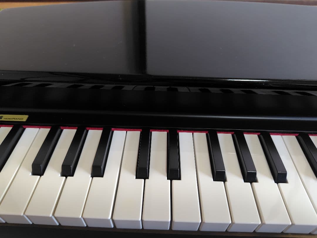KORG MICRO PIANO 61鍵 黒 電子ピアノ