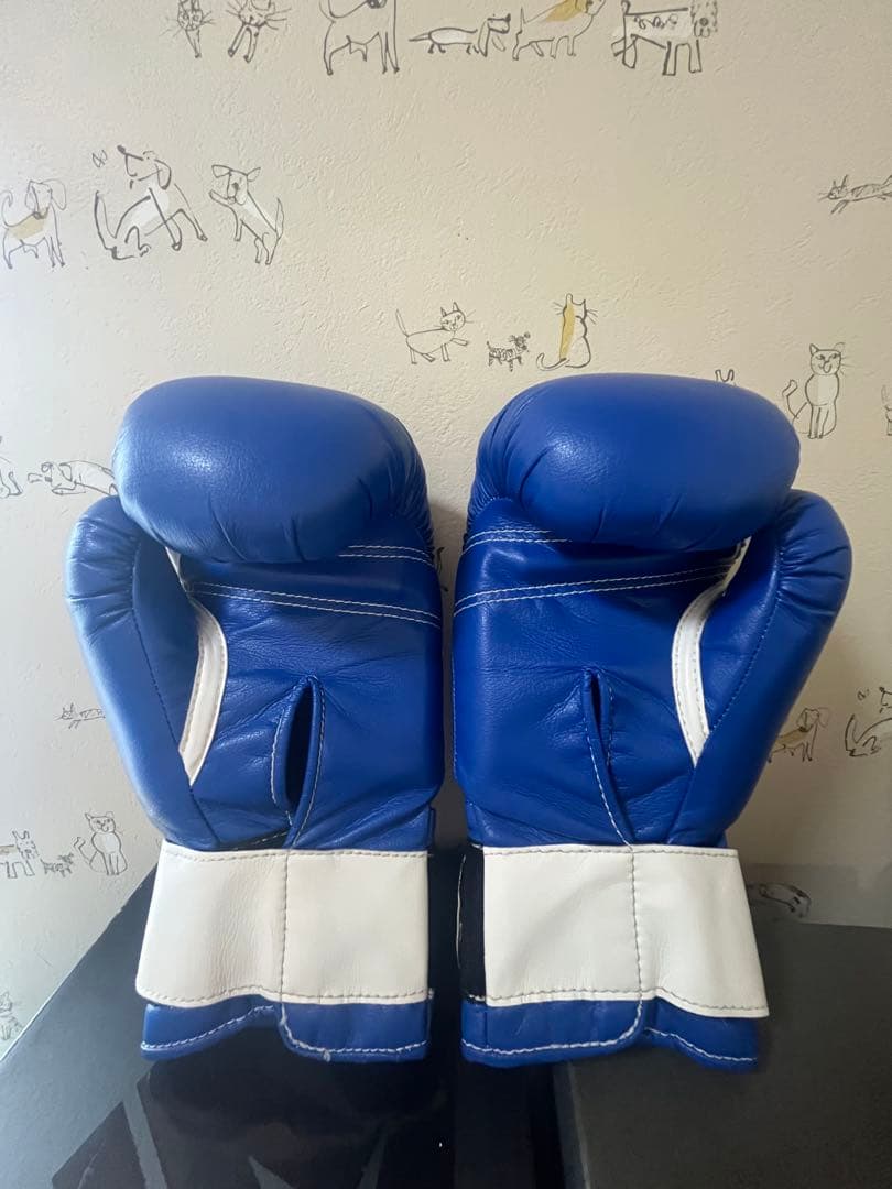 Winning ボクシンググローブ 10 oz 青　新品未使用　ソフトタイプ