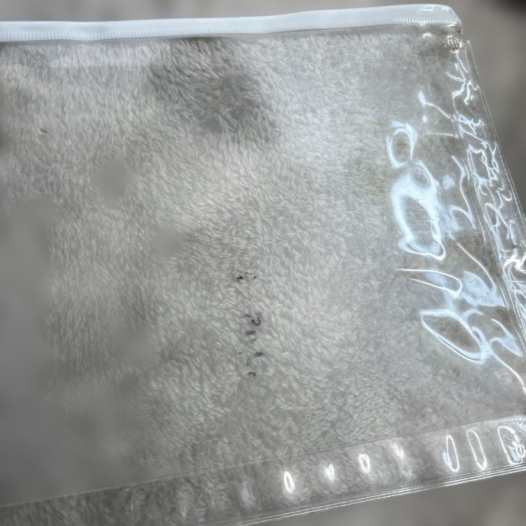 美品 英語 ペッピーキッズクラブ モラモラ 教材