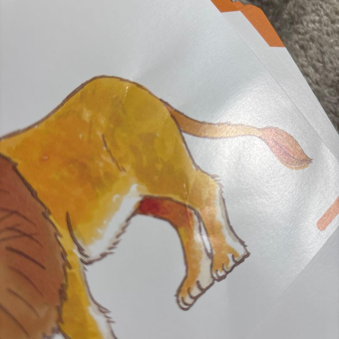 美品 英語 ペッピーキッズクラブ モラモラ 教材