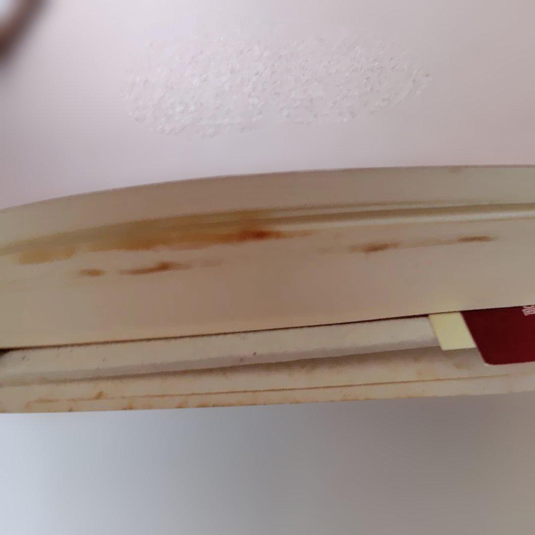 高市早苗のぶっとび永田町日記