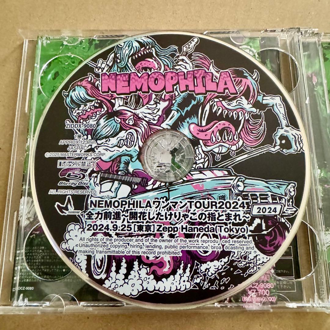 【直筆サイン入】NEMOPHILA Apple of my eye(初回限定版)