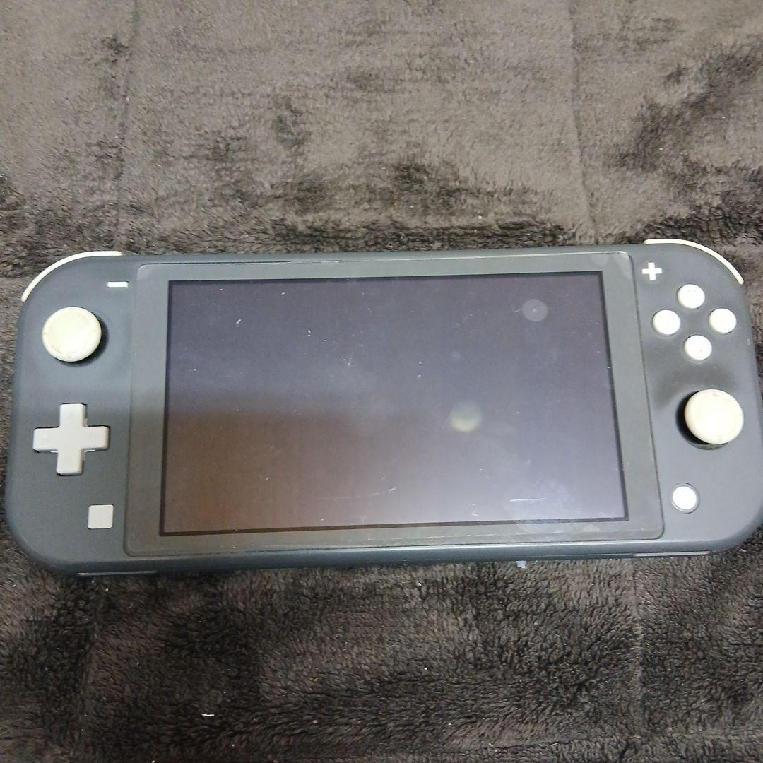 完全ジャンク品部品取り用　Nintendo Switch Lite　箱なし